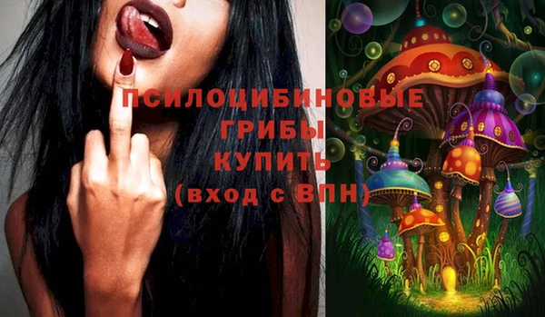 МДПВ Абинск