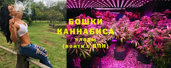 сатива Нея