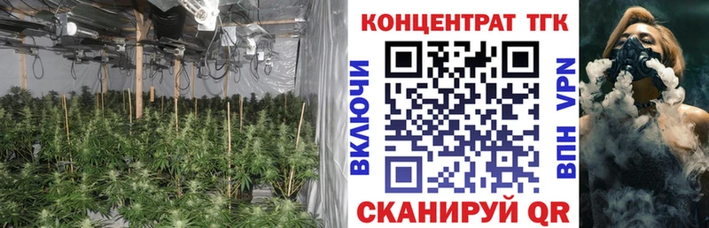 ТГК жижа  где можно купить наркотик  Электроугли 